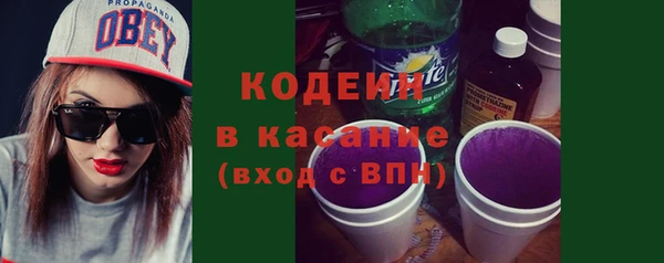 ПСИЛОЦИБИНОВЫЕ ГРИБЫ Вяземский