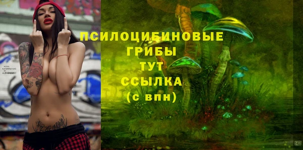 прущая мука Магас