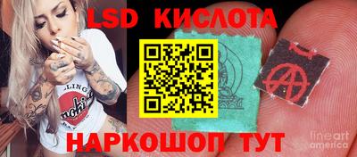 амф Дубна