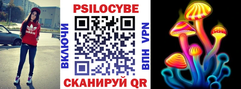 мега ТОР  Георгиевск  Псилоцибиновые грибы Psilocybine cubensis 