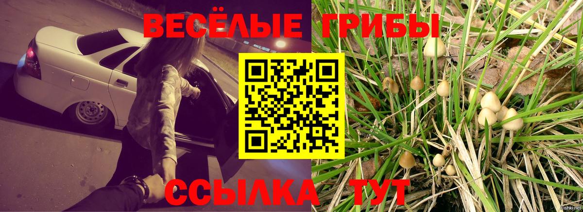 Псилоцибиновые грибы ЛСД  Псилоцибиновые грибы MAGIC MUSHROOMS  Георгиевск  Вход с VPN 