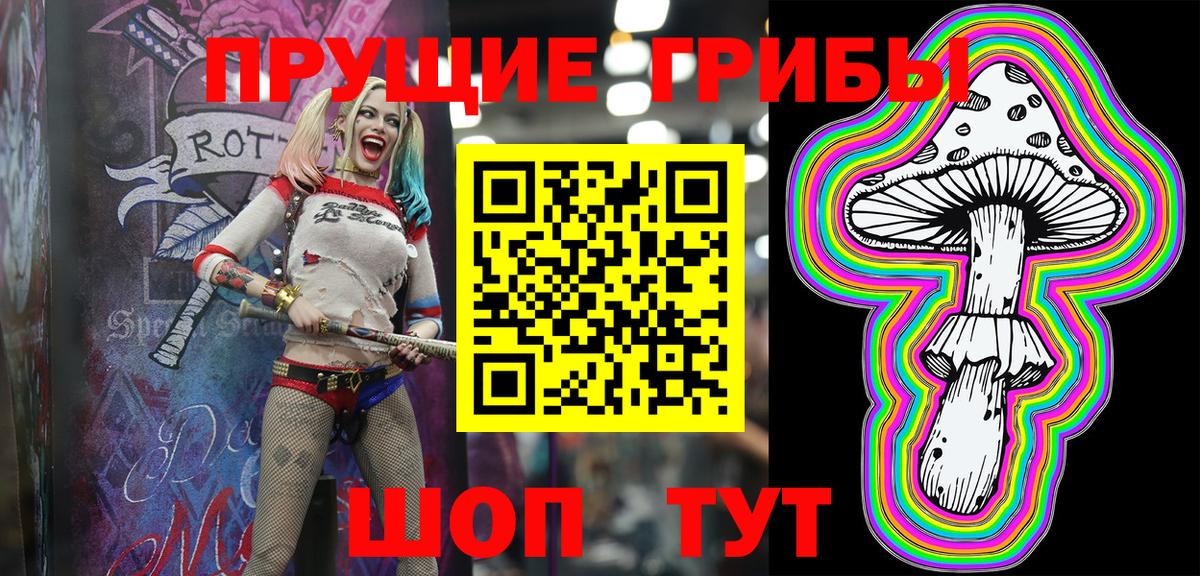 Псилоцибиновые грибы прущие грибы  Георгиевск  Галлюциногенные грибы мухоморы 