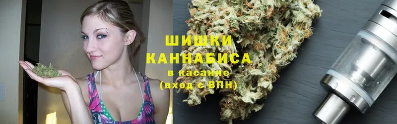 Конопля Bruce Banner  Георгиевск 